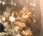 Odenwald Mineralien Nieder-Beerbach Glasberg Silber