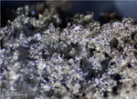 Odenwald Mineralien Nieder-Beerbach Glasberg Silber