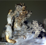 Odenwald Mineralien Nieder-Beerbach Glasberg Silber