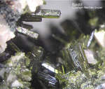 Odenwald Mineralien Sonderbach Epidot