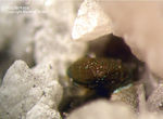 Odenwald Mineralien Waschenbach Kupferkies