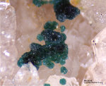 Odenwald Mineralien Waschenbach Malachit