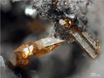 Eifel Mineralien Wannenköpfe Titanit