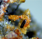 Eifel Mineralien Wannenköpfe Klinopyroxen