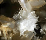 Eifel Mineralien Wannenköpfe Muskovit