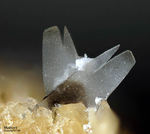 Eifel Mineralien Wannenköpfe Muskovit