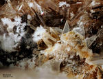 Eifel Mineralien Wannenköpfe Muskovit