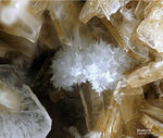 Eifel Mineralien Wannenköpfe Muskovit