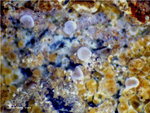 Hessen Mineralien Grube Gutglück Strengit