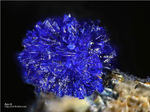 Hessen Mineralien Altenmittlau Azurit
