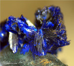 Hessen Mineralien Altenmittlau Azurit
