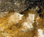 Hessen Mineralien Altenmittlau Aragonit