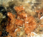 Hessen Mineralien Altenmittlau Calcit