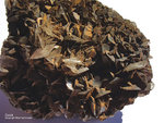 Hessen Mineralien Altenmittlau Calcit
