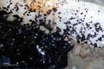 Hessen Mineralien Altenmittlau Goethit