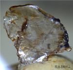 Hessen Mineralien Altenmittlau Illit var. Muskovit