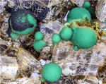 Hessen Mineralien Altenmittlau Malachit