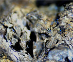 Hessen Mineralien Altenmittlau Asphalt