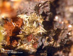 Hessen Mineralien Altenmittlau Mimetesit