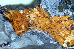 Hessen Mineralien Grube Gutglück Eleonorit NEU Beraunit