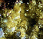 Hessen Mineralien Grube Gutglück Kakoxen