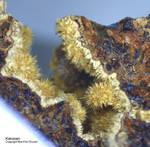Hessen Mineralien Grube Gutglück Kakoxen