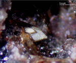 Eifel Mineralien Bellerberg Ferrosilit