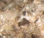 Eifel Mineralien Bellerberg  Pyroxmangit