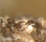 Eifel Mineralien Bellerberg  Pyroxmangit