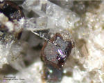 Eifel Mineralien Bellerberg  Pyroxmangit