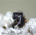 Eifel Mineralien Bellerberg  Pyroxmangit