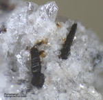 Eifel Mineralien Bellerberg  Pyroxmangit