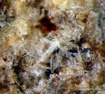 Eifel Mineralien Emmelberg Tridymit