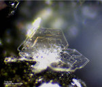 Eifel Mineralien Emmelberg Tridymit