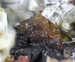 Eifel Mineralien Graulei Barytolamprophyllit