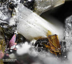 Eifel Mineralien Graulei Barytolamprophyllit