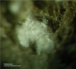 Eifel Mineralien Graulei Hielscherit