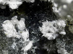 Eifel Mineralien Graulei Hielscherit