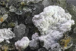 Eifel Mineralien Graulei Hielscherit