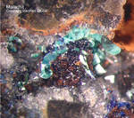 Sauerland Mineralien Müschede Malachit