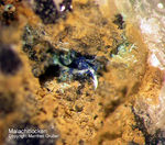 Sauerland Mineralien Müschede Malachit