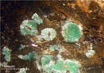 Sauerland Mineralien Müschede Malachit