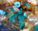 Sauerland Mineralien Müschede Malachit