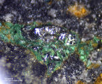 Sauerland Mineralien Müschede Tedraetrit