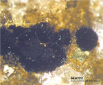 Sauerland Mineralien Ramsbeck Akanthit
