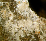 Sauerland Mineralien Ramsbeck Aragonit