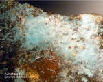 Sauerland Mineralien Ramsbeck Aurichalcit