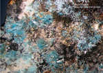 Sauerland Mineralien Ramsbeck Aurichalcit