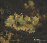 Sauerland Mineralien Ramsbeck Aurichalcit