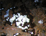 Griechenland Lavrion Mineralien Barbara Gibbsit